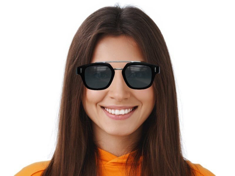 Dior fraction 1 sunglasses online