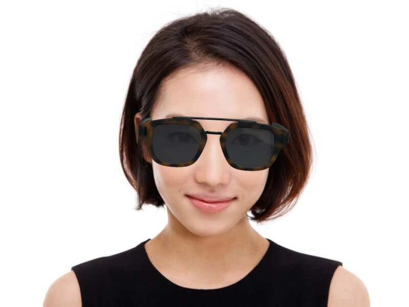 Dior fraction 1 sunglasses online